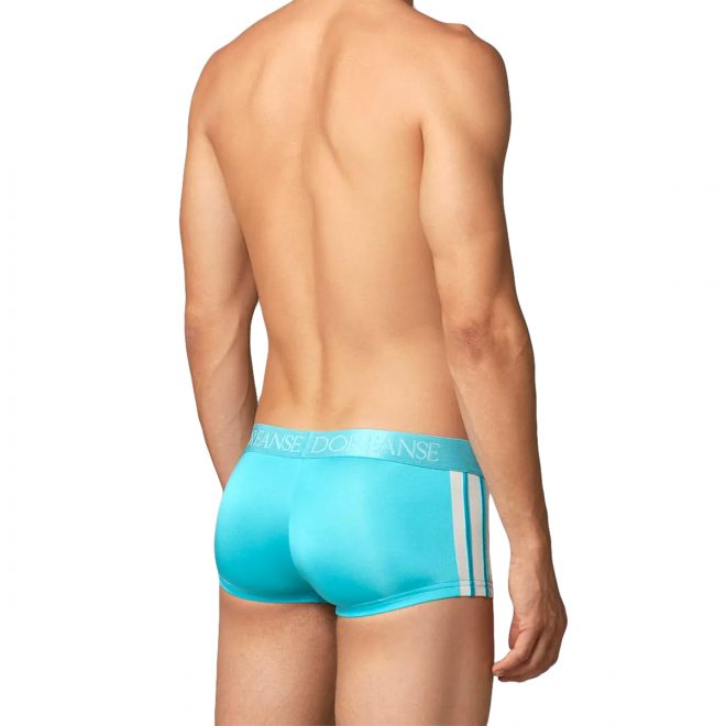 hipster-trunk-turquoise-back